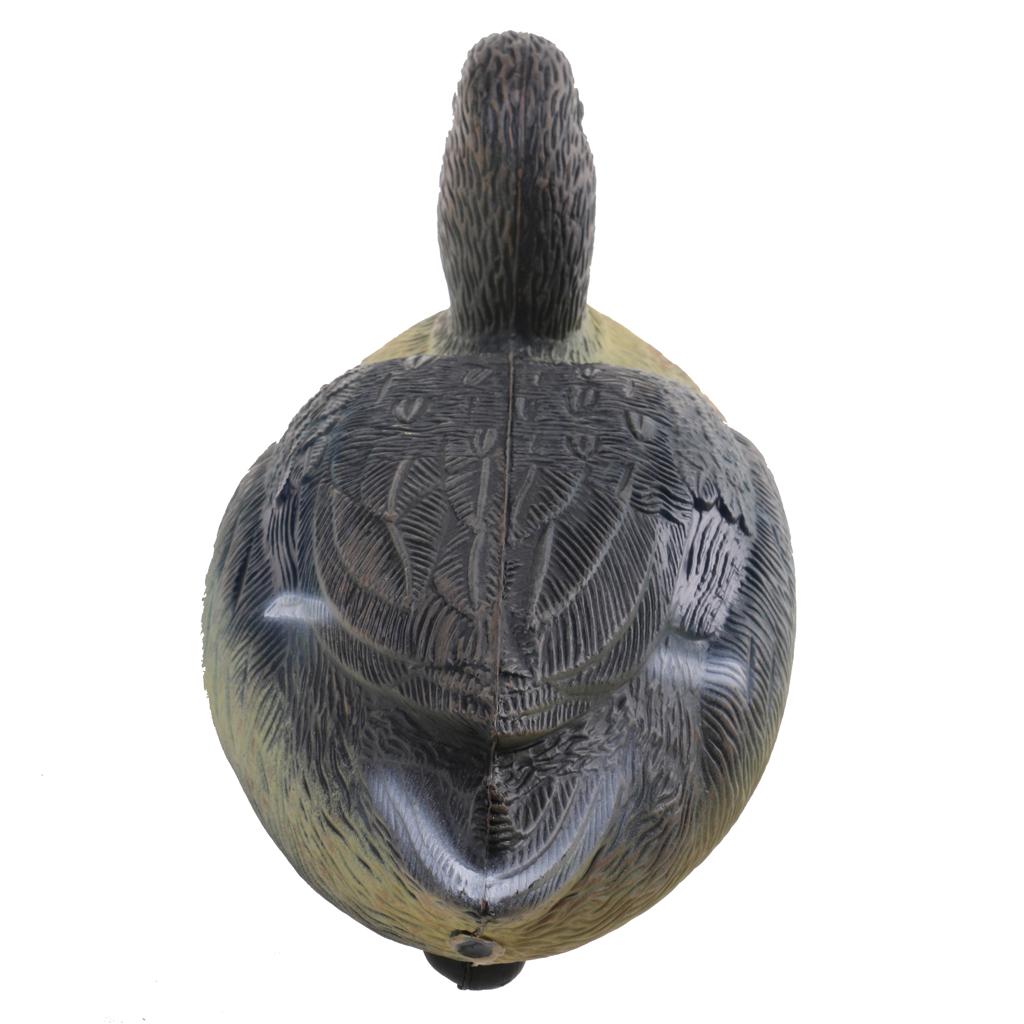 Прочные пластиковые чучела уто – обзор и цена Decoy Duck Plastic