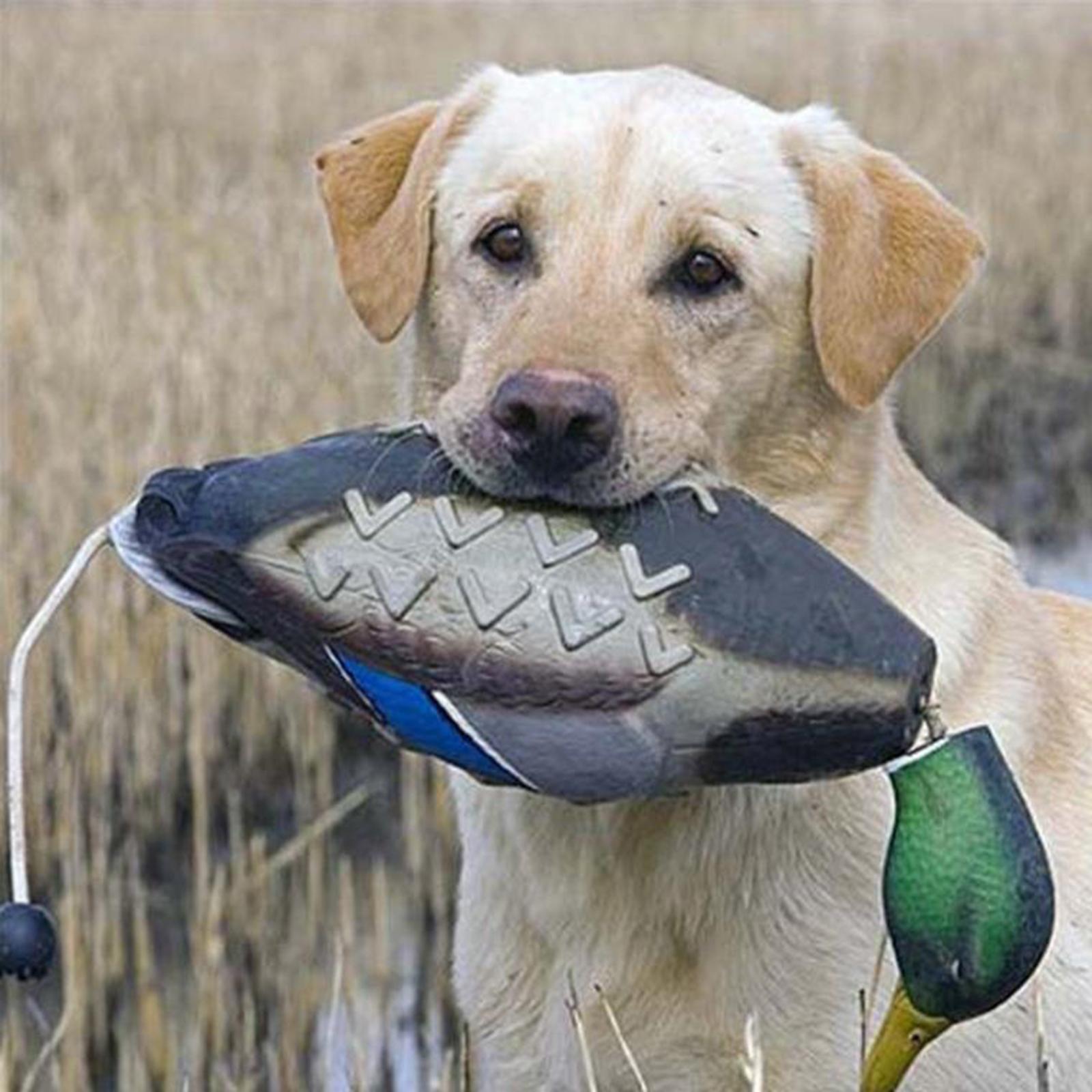 Имитация утки-крячки: пластико – обзор и цена Decoy Duck Plastic