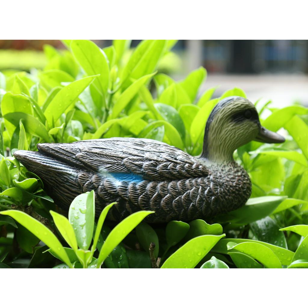 Имитация птицы для охоты: реал – обзор и цена Decoy Duck Plastic