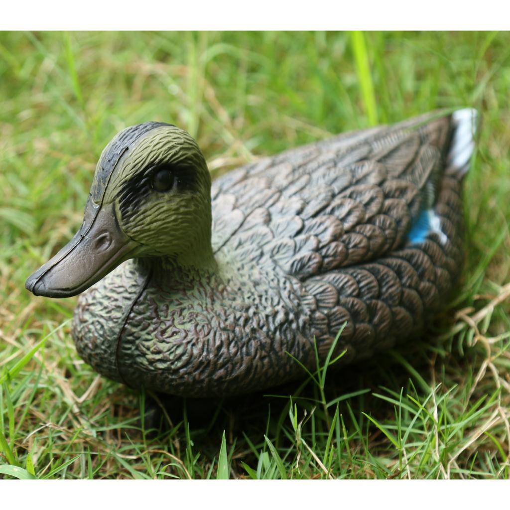 Имитация птицы для охоты: реал – обзор и цена Decoy Duck Plastic